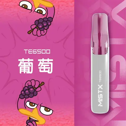 Mist X 鴨嘴獸 6500口 拋棄式電子煙 冰爽水果/2%尼古丁鹽/550mAh大電量/可充電續航/獨家萌系外觀設計