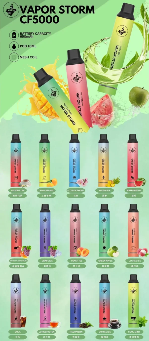 VAPOR STORM 風暴 5000口 拋棄式電子煙 10ml大容量/Mesh芯強勁霧化/金屬質感機身/650mAh可充電長效續航