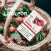 image-289.webp LANA 一代通用煙彈 3顆裝/炫彩特效/升級陶瓷芯/2.5ml容量/純淨口感/通用一代主機