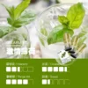 image-555.webp ILIA 哩亞 一代通用煙彈 三顆裝 透明油艙/3%尼古丁鹽/防漏升級/適配一代主機
