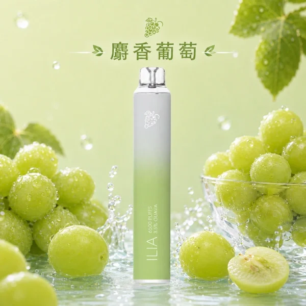 ILIA 哩亞 Bar4 6500口拋棄式電子煙 13ml容量/不漏油技術/Type-C充電